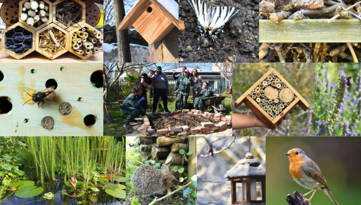 Le jardin pédagogique de Sarcelles : Un Refuge Etablissement engagé
